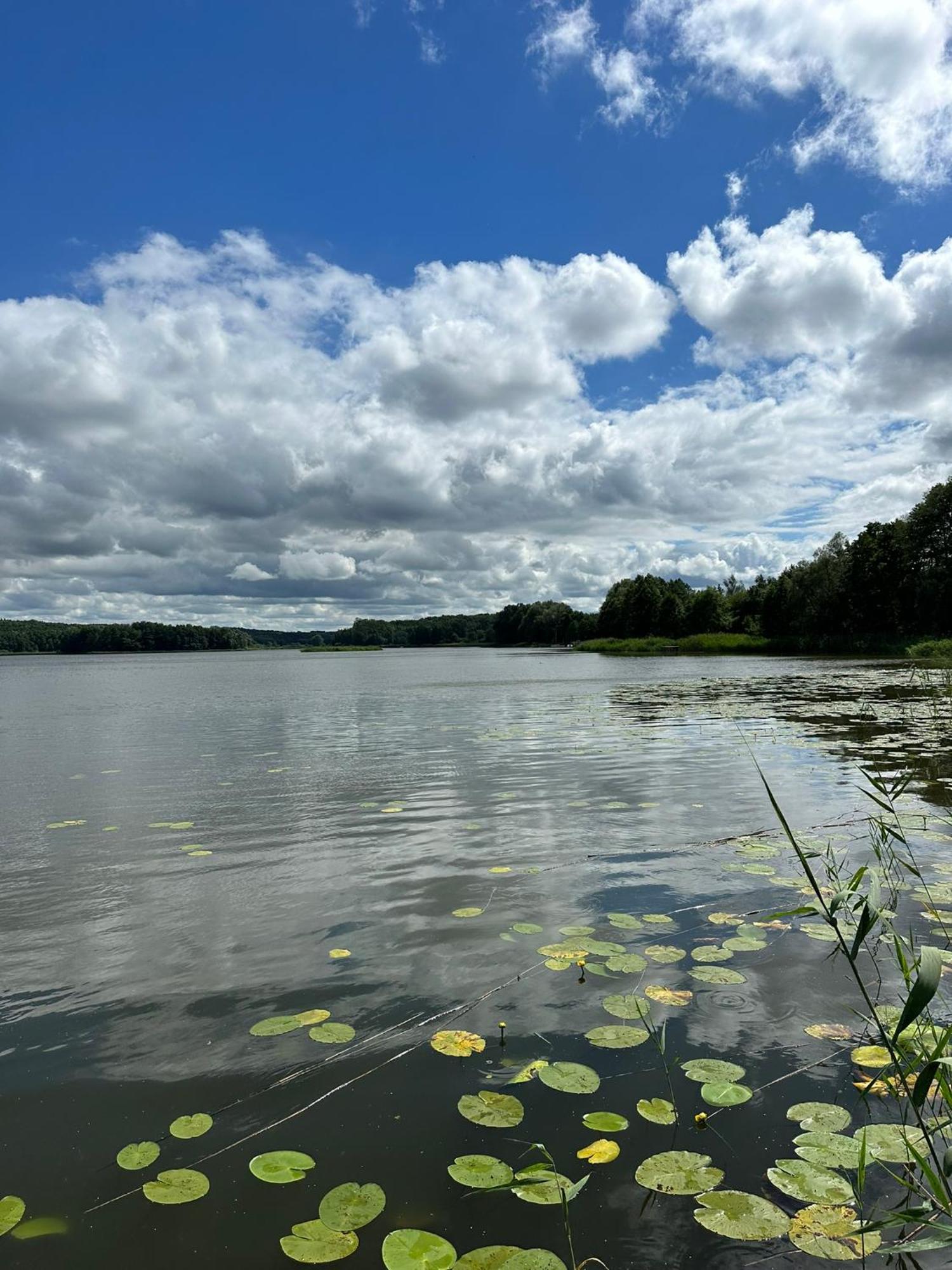 Brzezina Resort - Wille ชนิน ภายนอก รูปภาพ