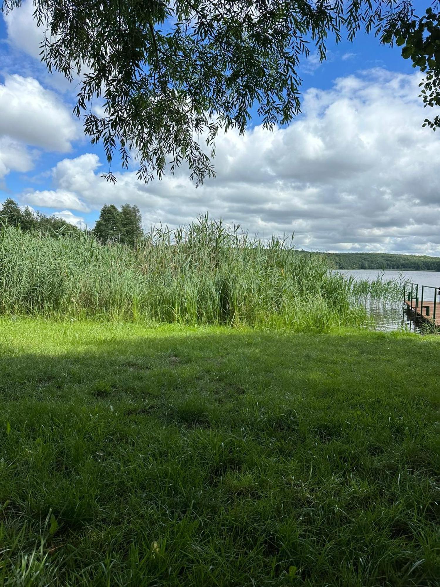 Brzezina Resort - Wille ชนิน ภายนอก รูปภาพ